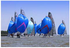 A racing fleet on the Crouch