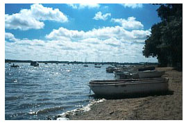 The beach in front of the Maybush at Waldringfield