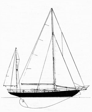 Infanta Lines Drawing