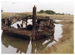 Our next project waiting to be collected in a creek